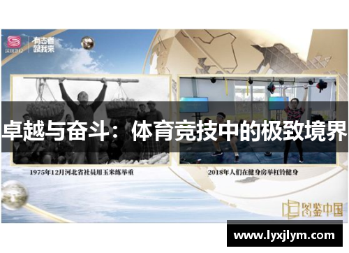 卓越与奋斗：体育竞技中的极致境界